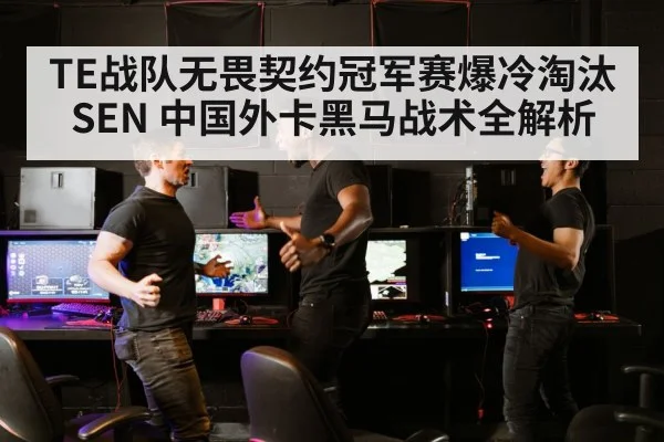 TE战队无畏契约冠军赛爆冷淘汰SEN 中国外卡黑马战术全解析